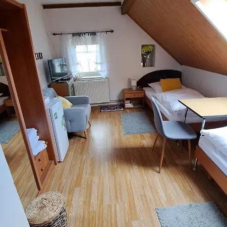 Jana Guest house