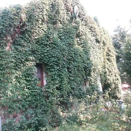 Jana Guest house