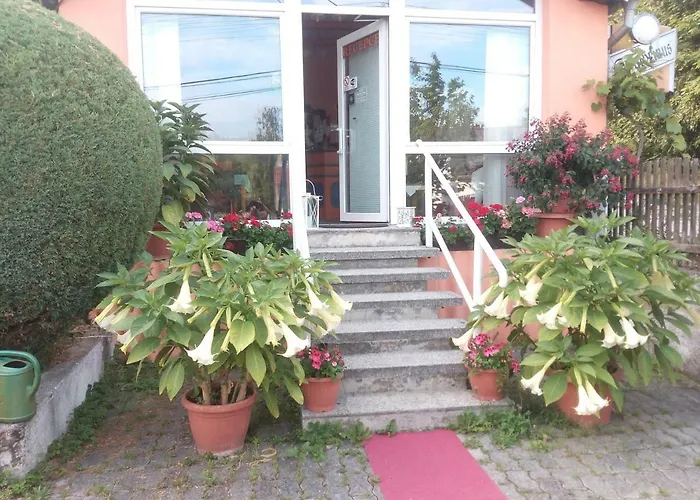 Casa de hóspedes Jana
